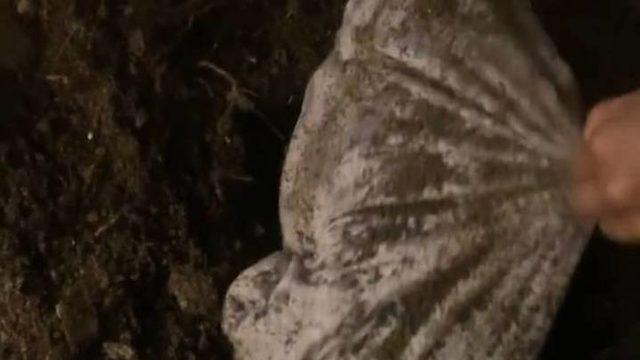 Şarkıcı Azealia Banks, ölen kedisini mezardan çıkarıp pişirdiği görüntüleri sosyal medyadan paylaştı!