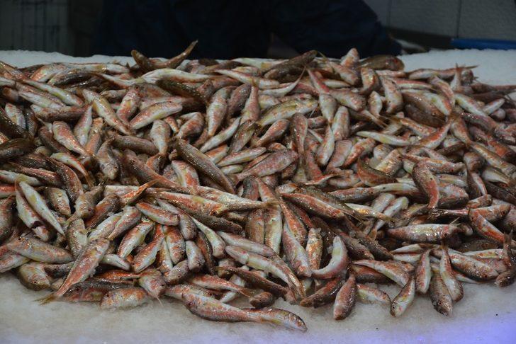 Sinop’ta hamsiye rağbet düştü G2