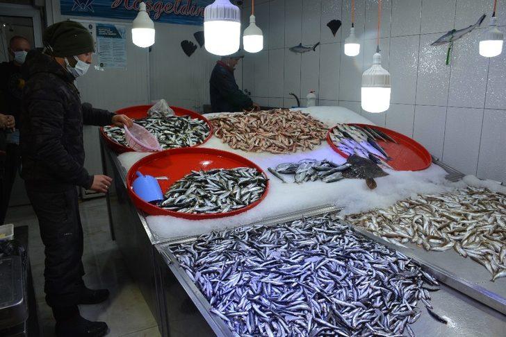 Sinop’ta hamsiye rağbet düştü G3