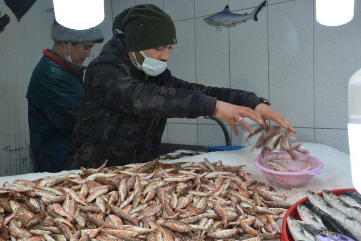 Sinop’ta hamsiye rağbet düştü G4