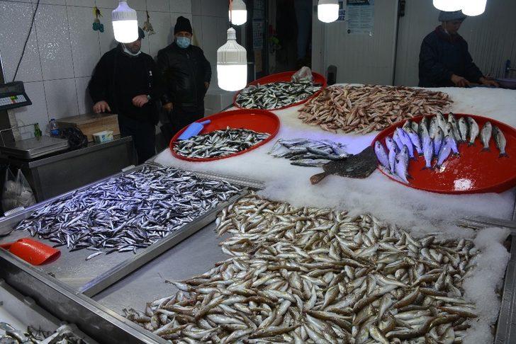 Sinop’ta hamsiye rağbet düştü G5