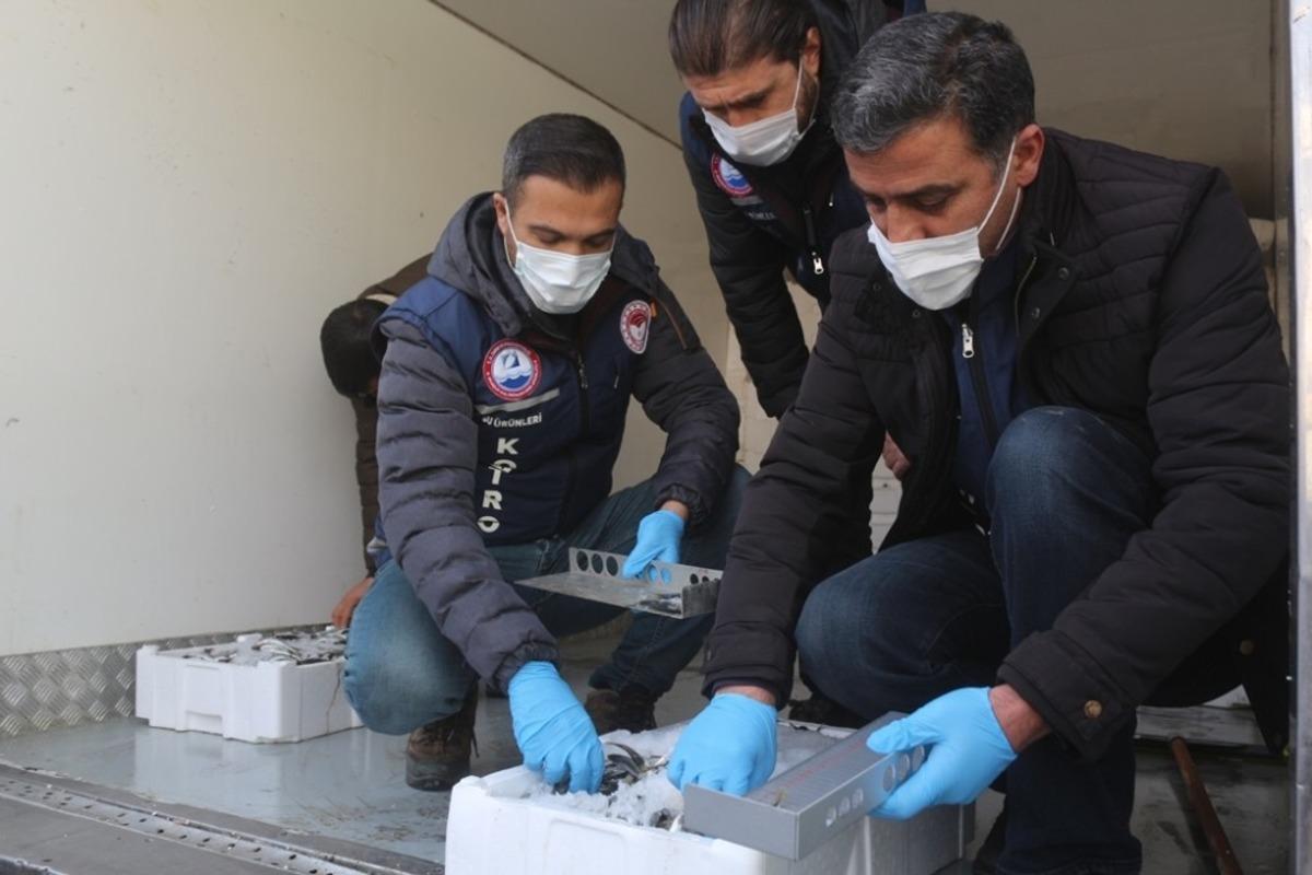 Van&rsquo;da balon balığı denetimleri s&uuml;r&uuml;yor