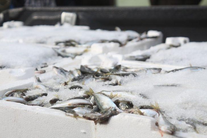 Van’da balon balığı denetimleri sürüyor G3