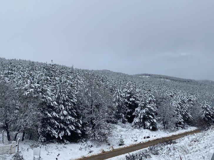 Beyaz örtülü çam ağaçları büyüledi G1