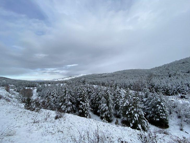 Beyaz örtülü çam ağaçları büyüledi G3