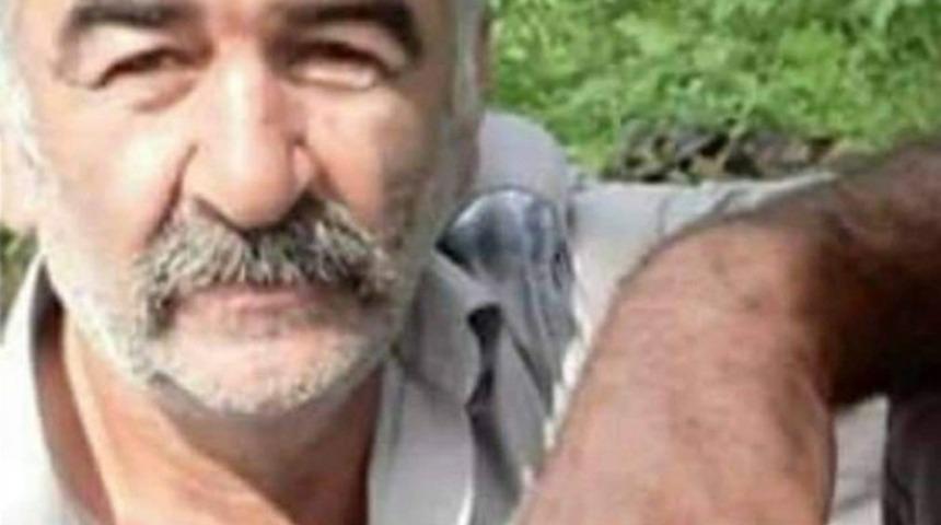 Odun keserken yuvarlanan şahıs hayatını kaybetti