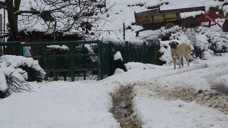 Uşak’a mevsimin ilk karı yağdı G4