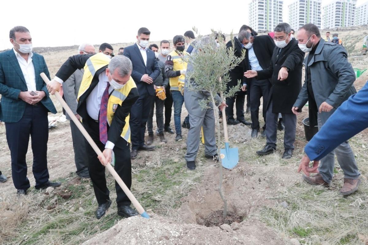 Şanlıurfa&rsquo;daki yeni yerleşim alanlarında ağa&ccedil; dikim seferberliği