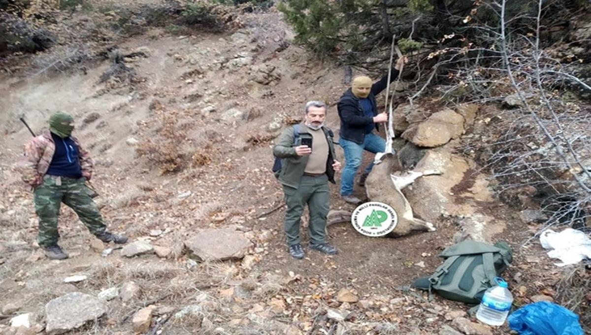 Artvin&rsquo;de yasa dışı avlanan 2 kişiye 33 bin lira para cezası