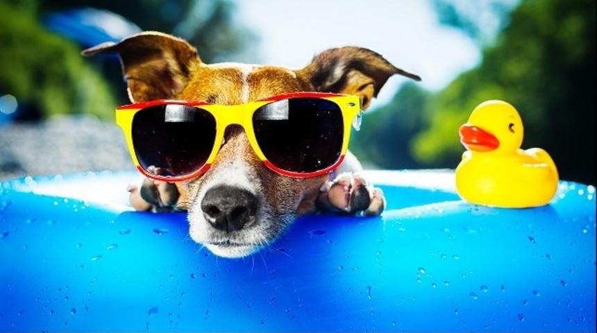 Kurban bayramı kaç gün tatil belli oldu! Kaç gün tatil yapılacak?