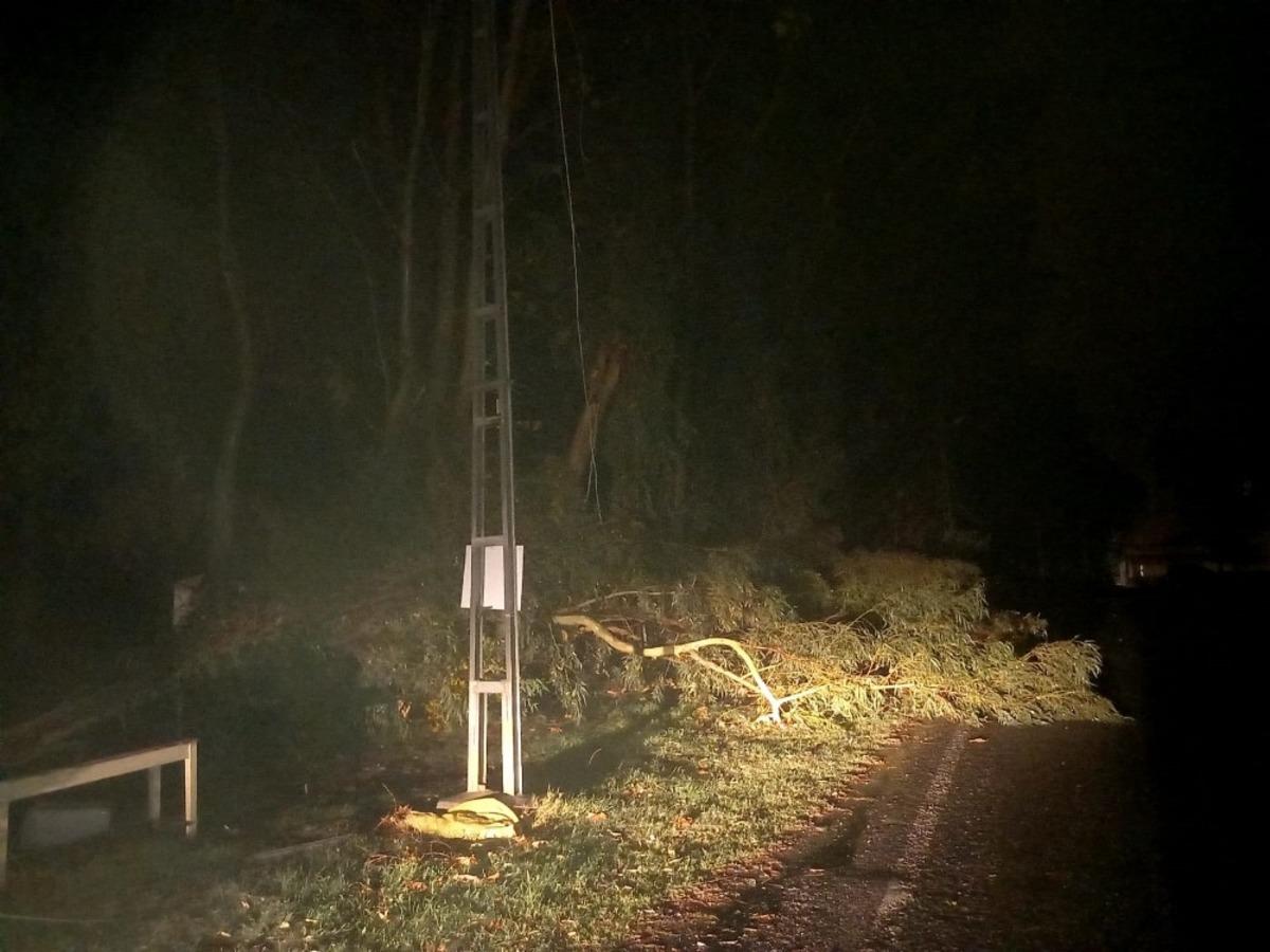 D&ouml;rtyol&rsquo;da fırtına ve yağış &ccedil;atıları u&ccedil;urdu ağa&ccedil; dallarını kopardı
