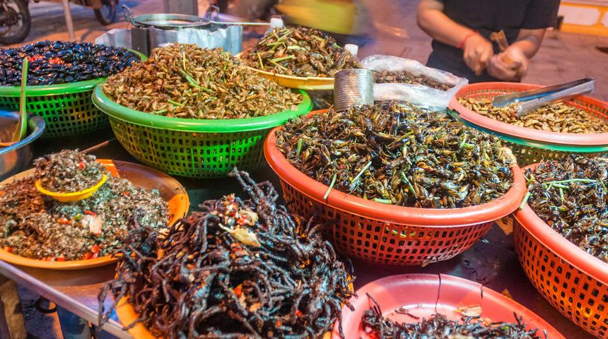 AB 'böcekli gıdalarla' ilgili ilk görüşünü açıkladı