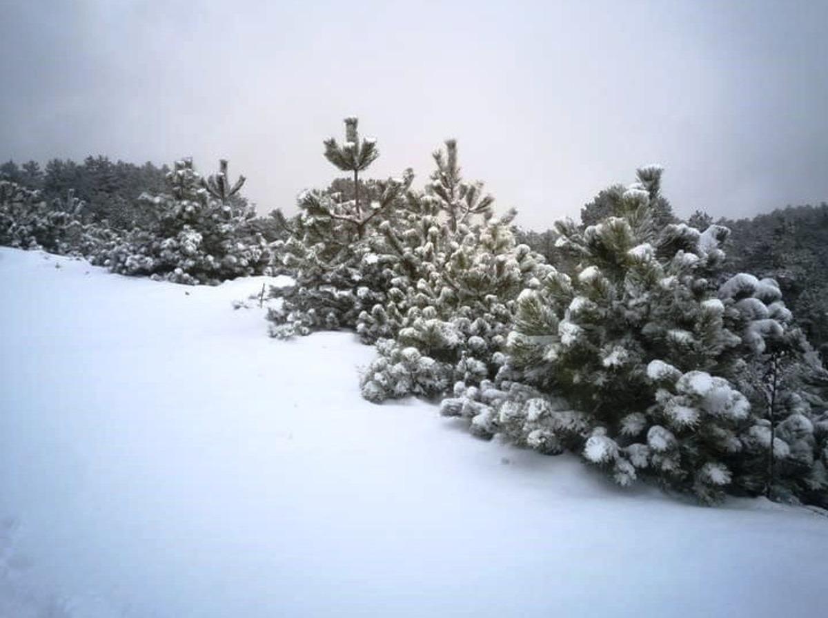 Aydın&rsquo;da y&uuml;ksek kesimler karla kaplandı