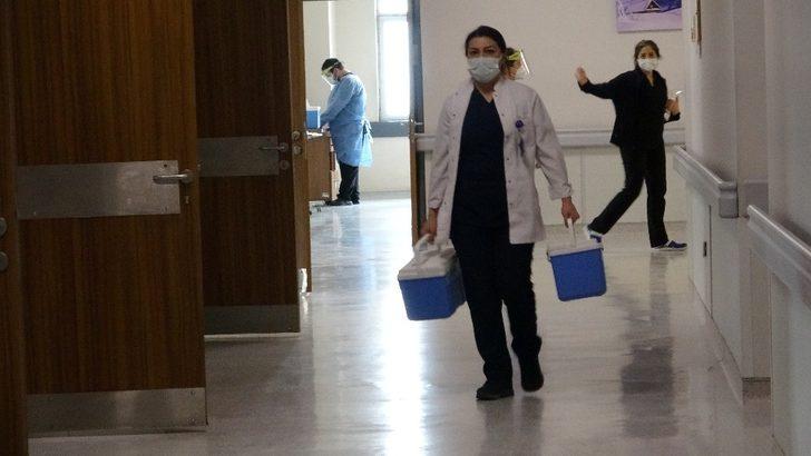 Van İl Sağlık Müdürü ile hastane başhekimi aşı oldu G5