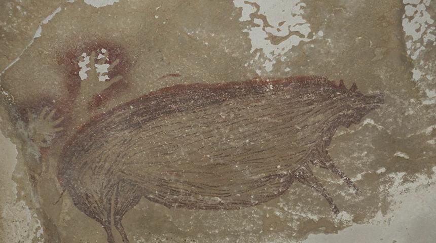 'Dünyanın en eski mağara resmi' yine değişti: Endonezya'daki bir domuz çizimi