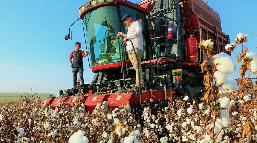 Pamuğun fiyatı, 1 lira 20 kuruşluk devlet desteği ile 7 lira 20 kuruşa &ccedil;ıktı.