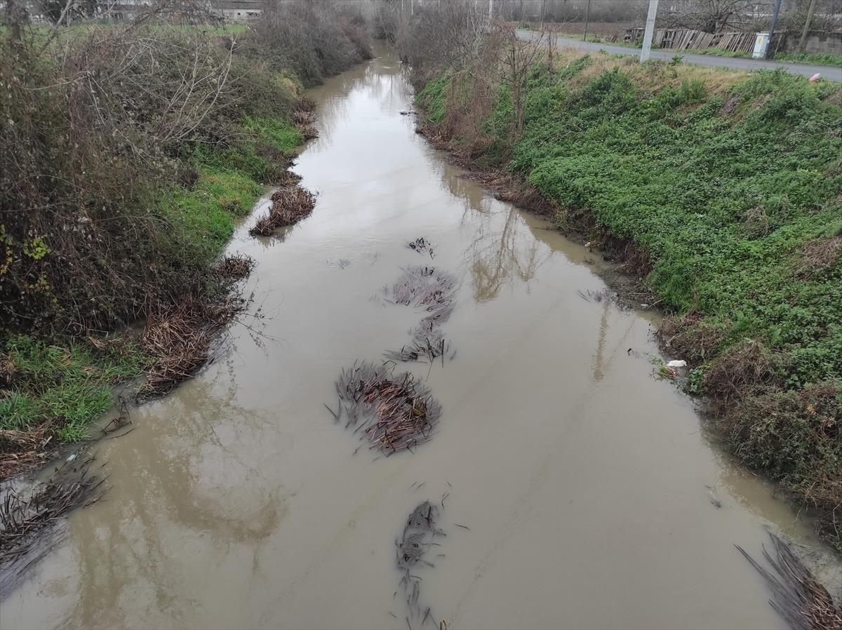 Sakarya'da &ccedil;antalarda ceset par&ccedil;aları bulunmasına ilişkin &ccedil;alışmalar s&uuml;r&uuml;yor