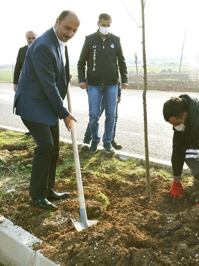 Araban’da ağaçlandırma çalışmaları