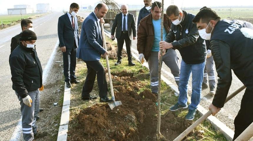 Araban&rsquo;da ağa&ccedil;landırma &ccedil;alışmaları