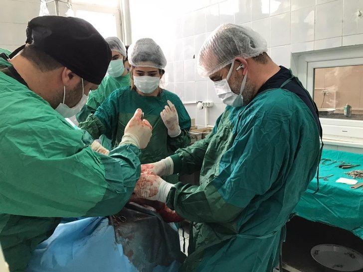 Rektör Prof. Dr. Kapu, Hayvan Hastanesi’nde incelemelerde bulundu G1