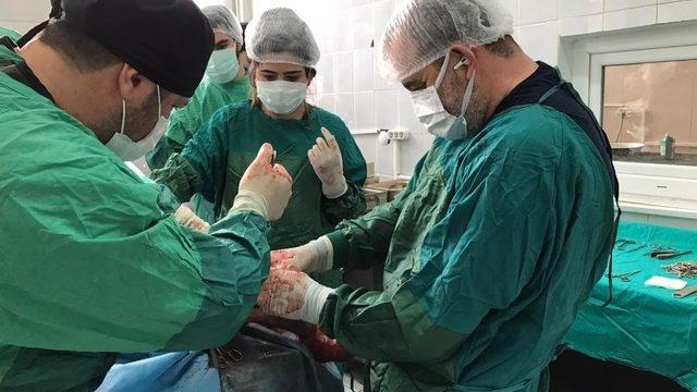 Rektör Prof. Dr. Kapu, Hayvan Hastanesi’nde incelemelerde bulundu