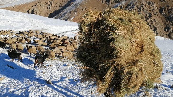 Vanlı çobanlar yayla sezonunu kapattı G2
