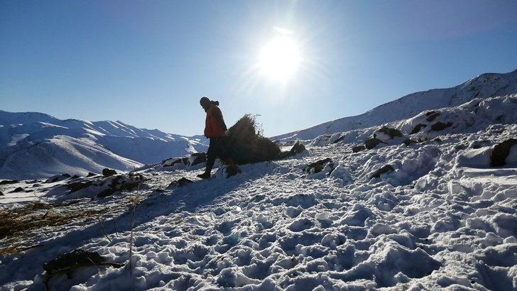 Vanlı çobanlar yayla sezonunu kapattı G3
