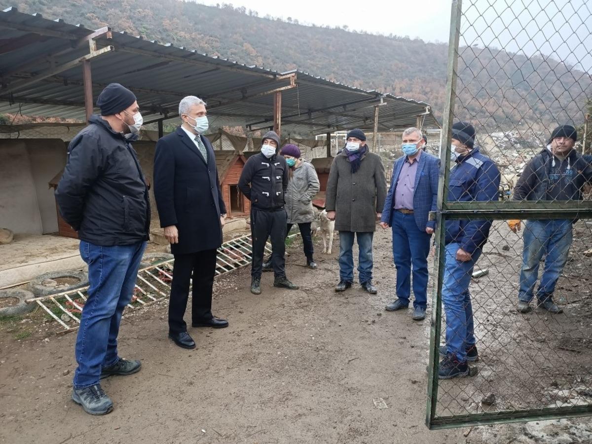 Ge&ccedil;ici hayvan barınağına yeni &uuml;nite &ccedil;alışması