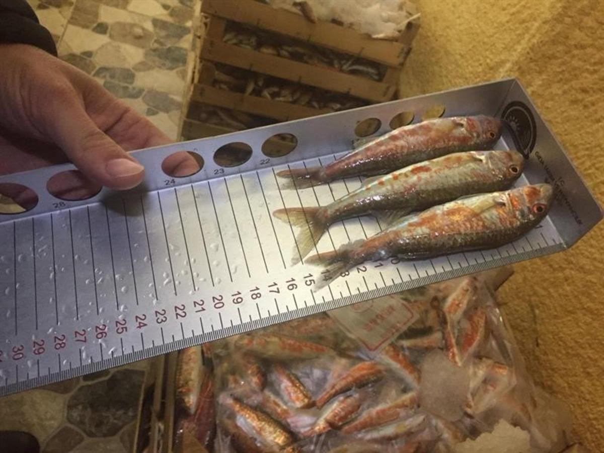 Kırklareli&rsquo;de su &uuml;r&uuml;nleri denetlendi