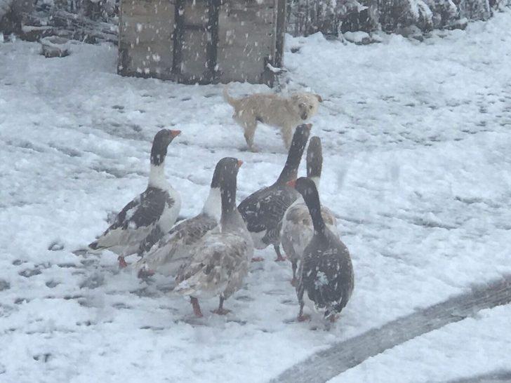 Selendi’ye ilk kar yağdı G2