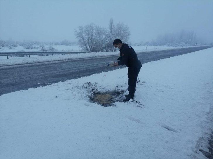 Jandarma ekipleri karla kaplı arazide kuşlara yem bıraktılar G2