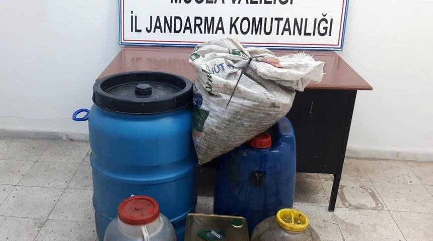 Zeytin hırsızını JASAT yakaladı