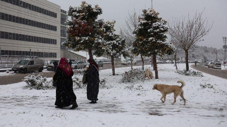 Kocaeli’de şehir merkezine yakın bölgeler beyaz örtü ile kaplandı G1
