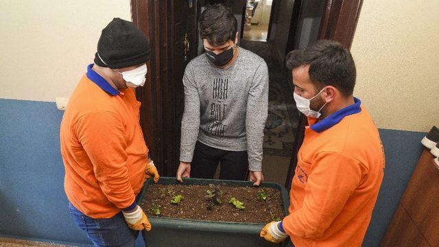 Muratpaşa Belediyesi’nden saksıda marul,maydonoz ve fesleğen dağıtımı