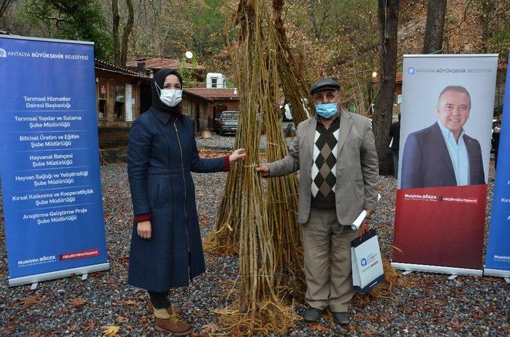 Büyükşehirden ipek böçekçiliğine destek G3