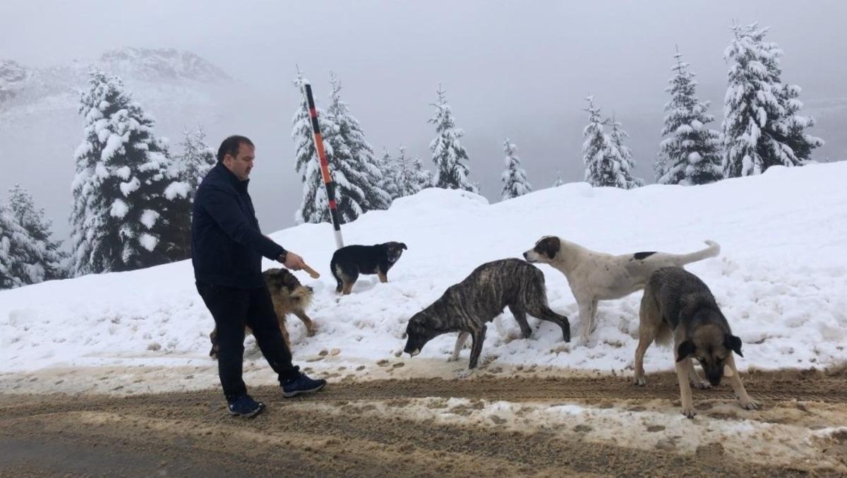 Kar yağışında sokak hayvanları unutulmadı