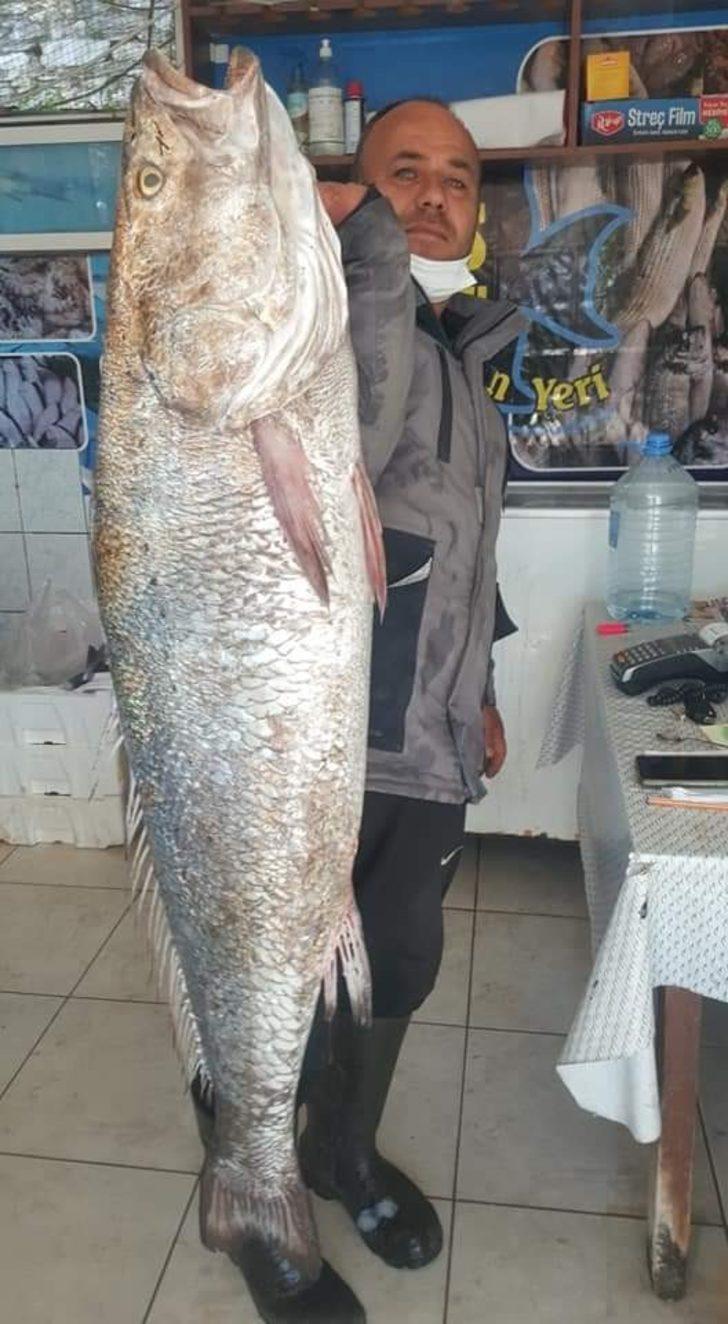 İnsan boyundaki levrek görenleri şaşırttı G3