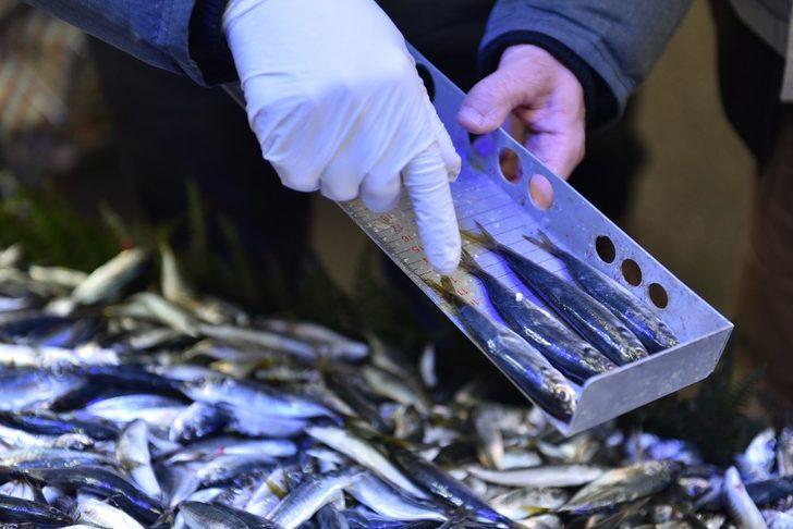 Tuzla’da balık tezgâhlarına hamsi boyu denetimi G2