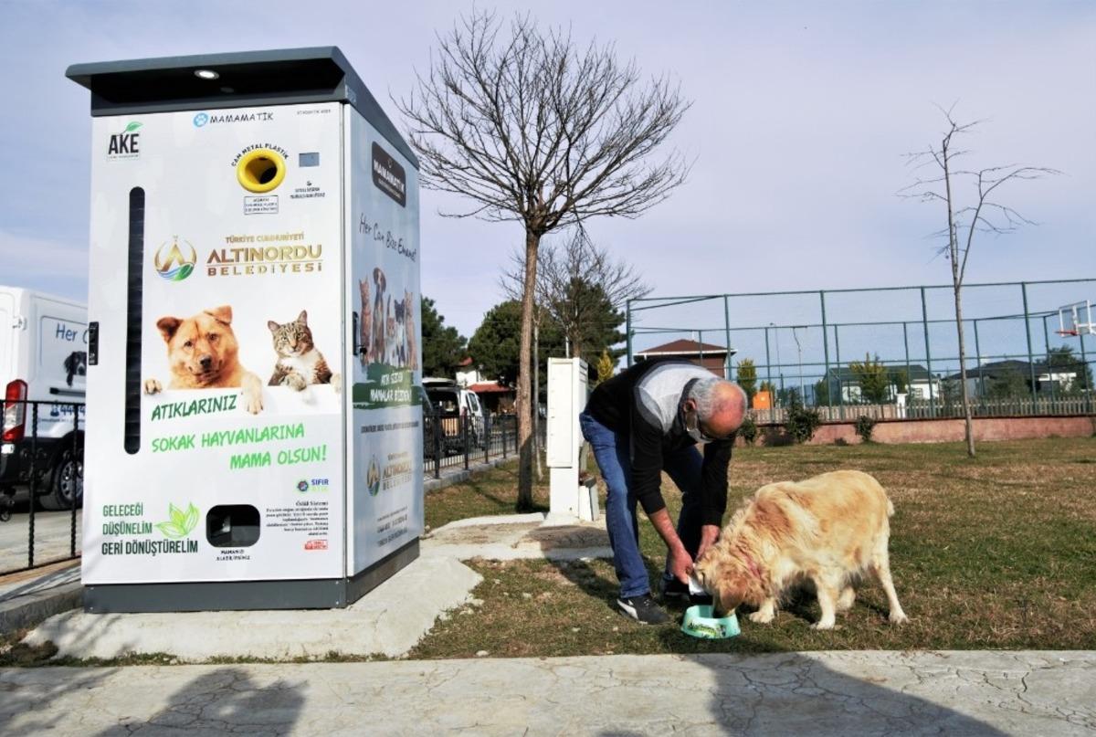Atık malzemeler, sokak hayvanlarına mama ve barınak olarak geri d&ouml;n&uuml;yor