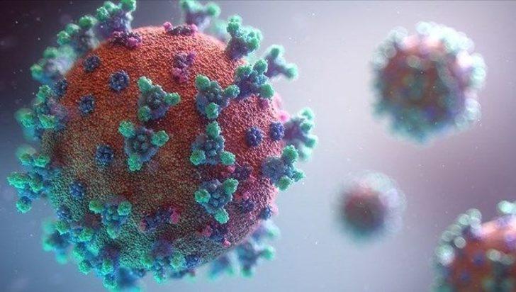 ABD’de 7 farklı koronavirüs mutasyonu daha tespit edildi
