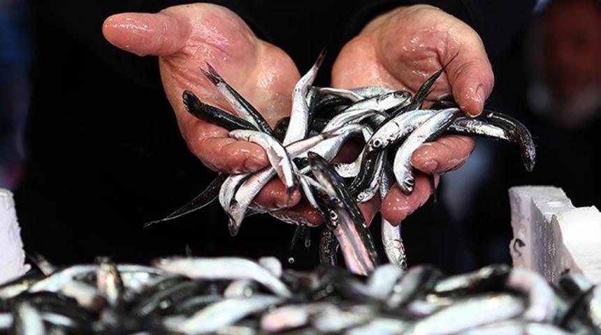 Hamsi avcılığı kısıtlaması 28 Ocak'a kadar uzatıldı