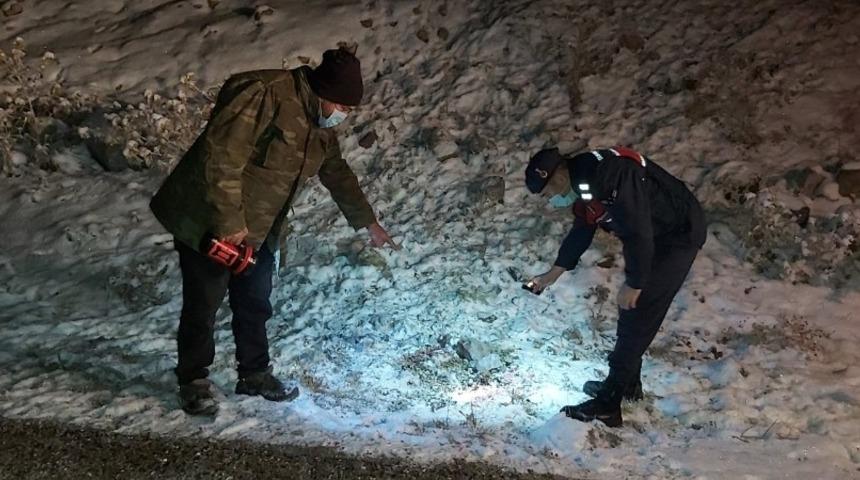 Başkent’te kurtlar dokuz koyunu telef etti