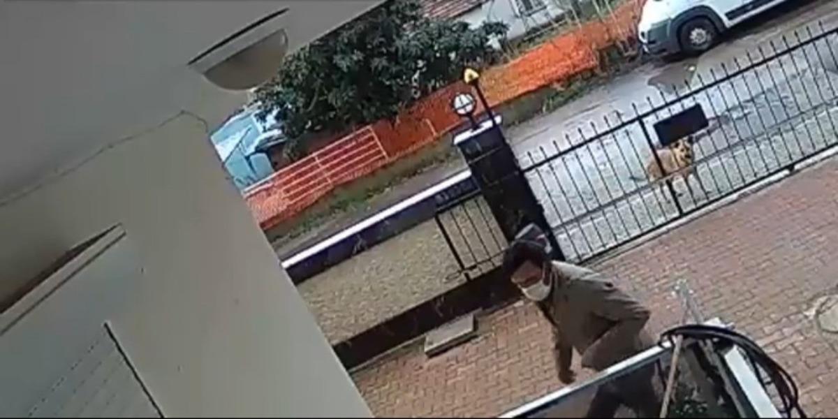 Balkondan masa &ccedil;alan hırsıza k&ouml;pek bile baktı kaldı