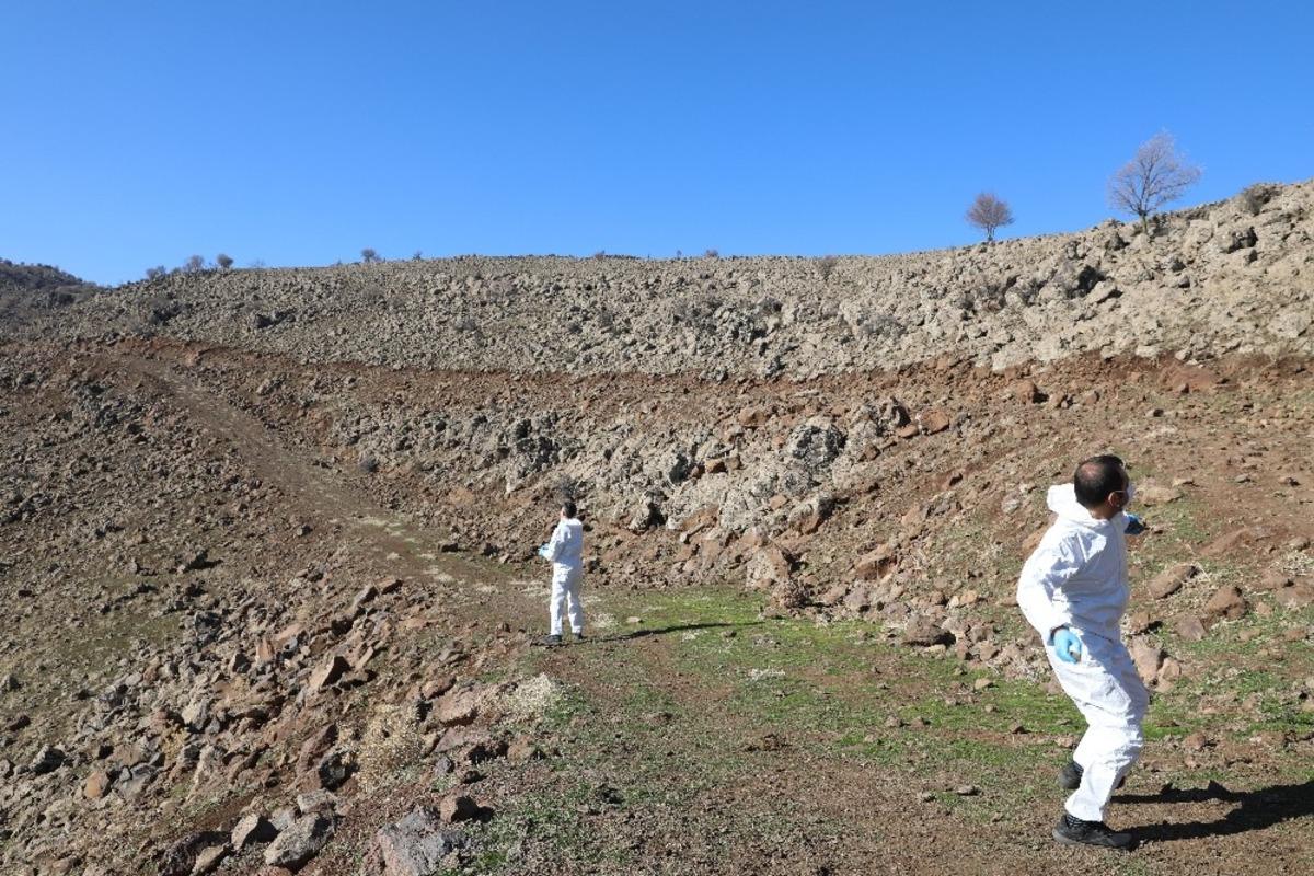 Diyarbakır&rsquo;da ilk defa hayvanlara kuduz aşısı kırsala bırakıldı