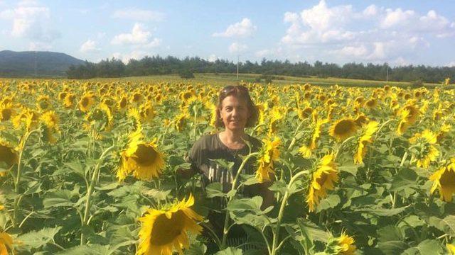Beyin ölümü gerçekleşen kadının organları üç hastaya umut oldu