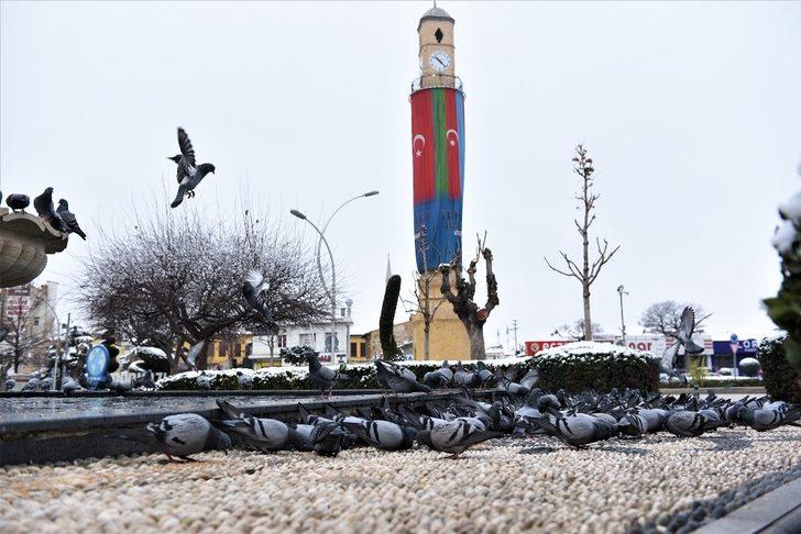 Çorum belediyesi sokak hayvanlarını unutmadı G2