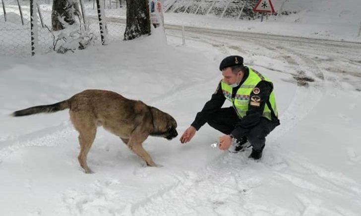Karda kalan vatandaşa jandarma desteği G2