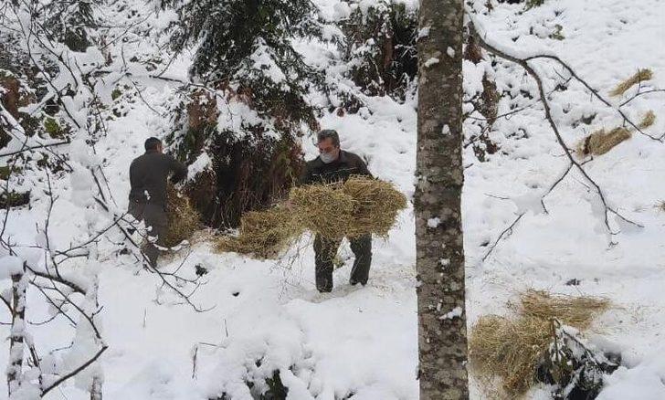 Artvin’de çetin kış şartları nedeniyle yaban hayvanları için doğaya yem bırakıldı G4