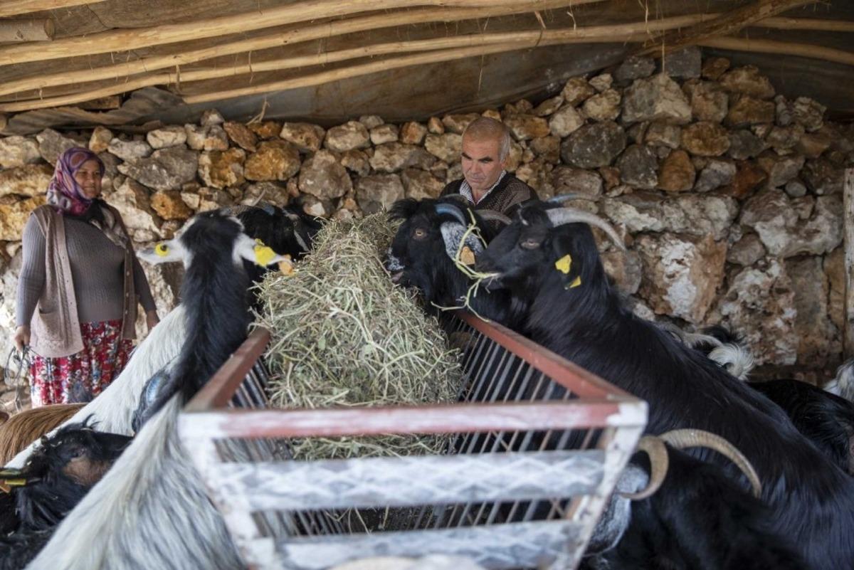 &rsquo;Haydi gel k&ouml;y&uuml;m&uuml;ze destek verelim&rsquo; projesi, yeni doğumlarla b&uuml;y&uuml;yor