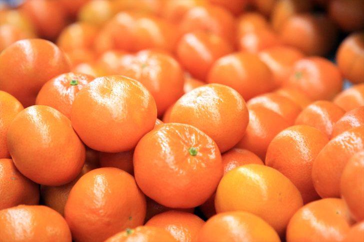 Narenciye ihracatını 2020'de mandalina sırtladı G1